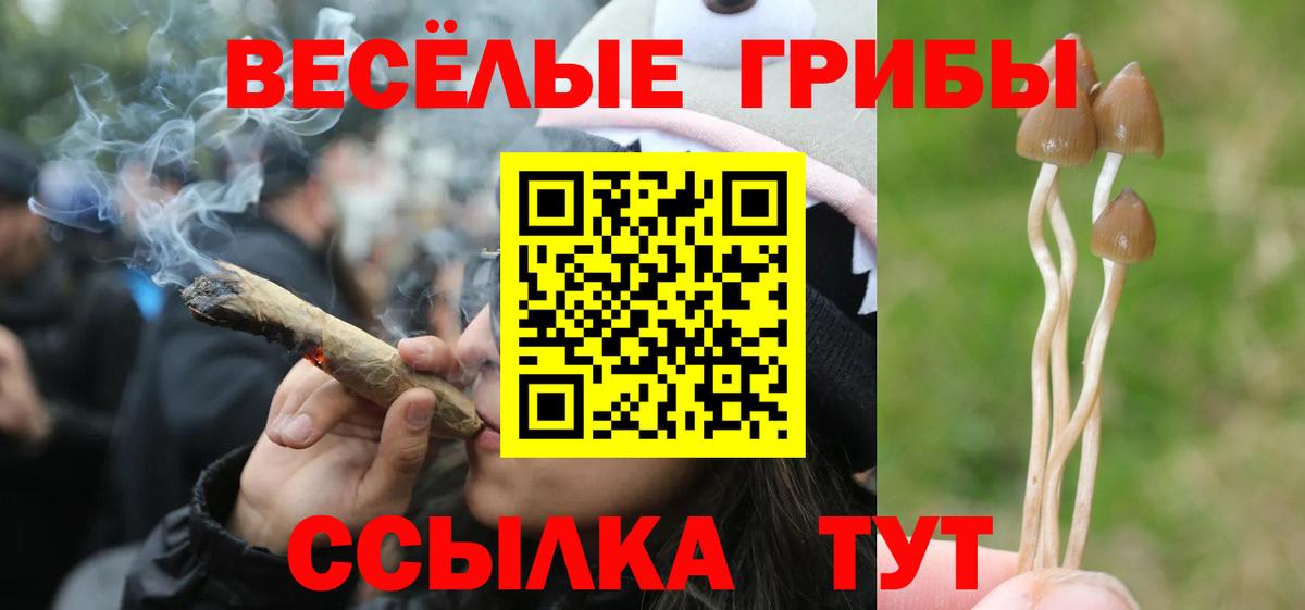 Галлюциногенные грибы Psilocybe  купить закладку  Юрга  Вход с VPN 