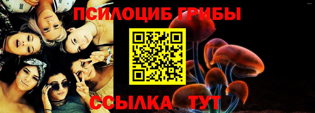 Псилоцибиновые грибы Psilocybine cubensis Юрга
